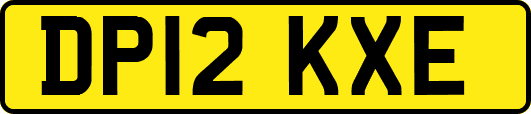 DP12KXE