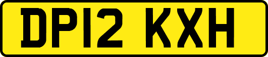 DP12KXH