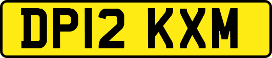 DP12KXM