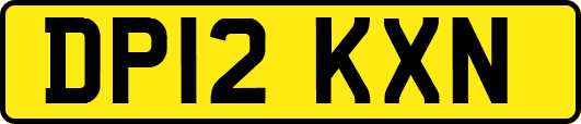 DP12KXN