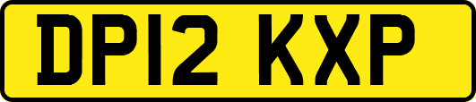 DP12KXP