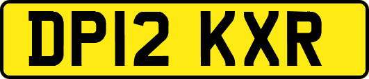 DP12KXR