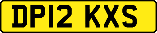 DP12KXS