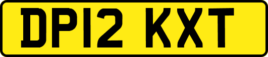DP12KXT
