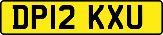 DP12KXU
