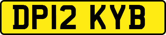 DP12KYB