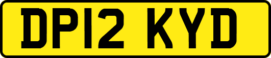 DP12KYD