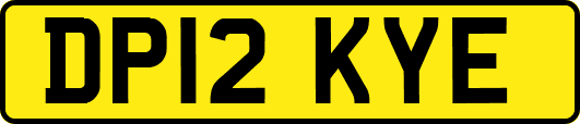 DP12KYE