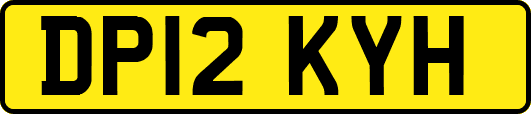 DP12KYH
