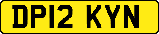 DP12KYN