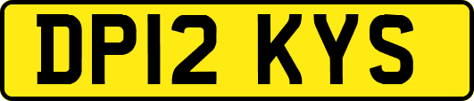 DP12KYS