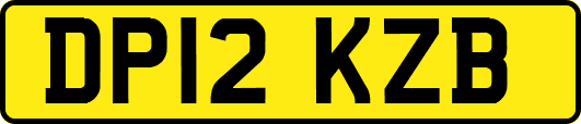 DP12KZB
