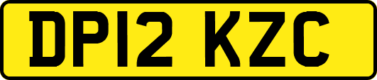 DP12KZC