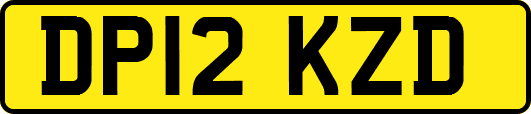 DP12KZD