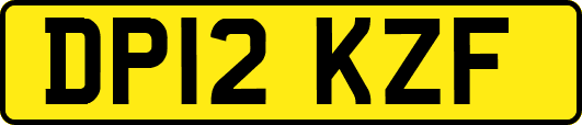 DP12KZF