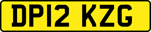 DP12KZG