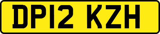 DP12KZH