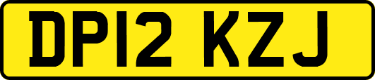 DP12KZJ