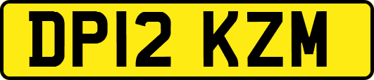 DP12KZM