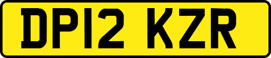 DP12KZR