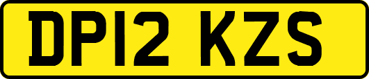 DP12KZS