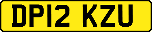 DP12KZU