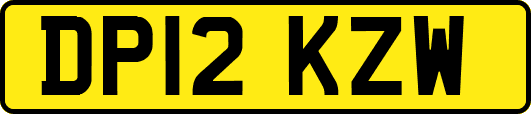 DP12KZW