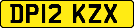 DP12KZX