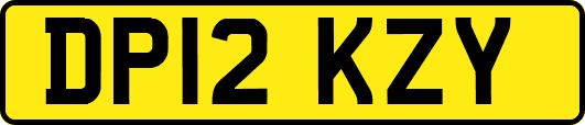 DP12KZY