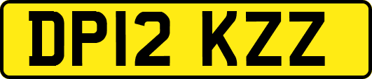DP12KZZ