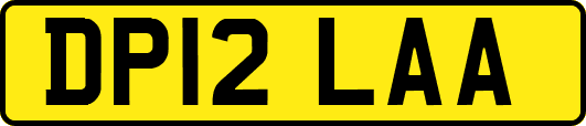DP12LAA