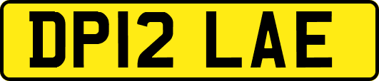 DP12LAE