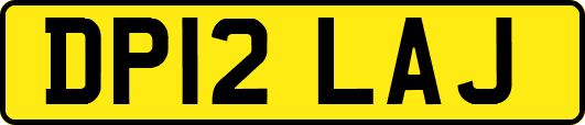 DP12LAJ
