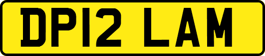 DP12LAM