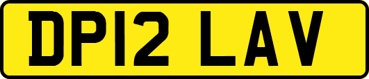 DP12LAV