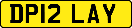DP12LAY