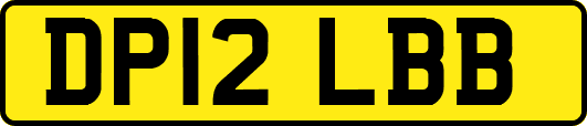 DP12LBB