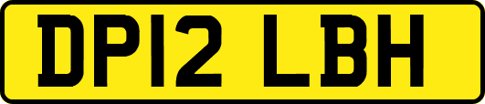 DP12LBH