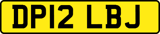 DP12LBJ