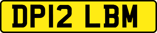 DP12LBM