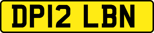 DP12LBN