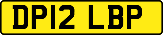DP12LBP