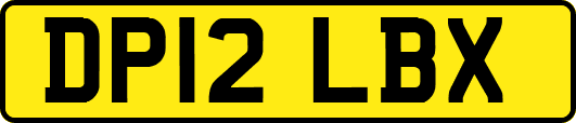 DP12LBX