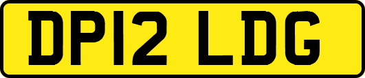 DP12LDG