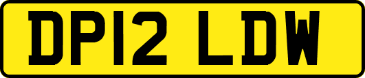 DP12LDW
