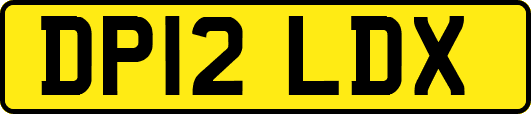 DP12LDX