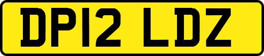 DP12LDZ