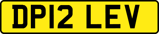 DP12LEV
