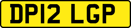 DP12LGP