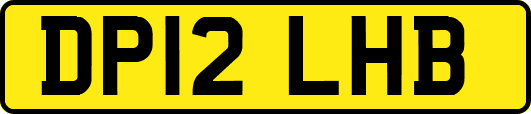 DP12LHB